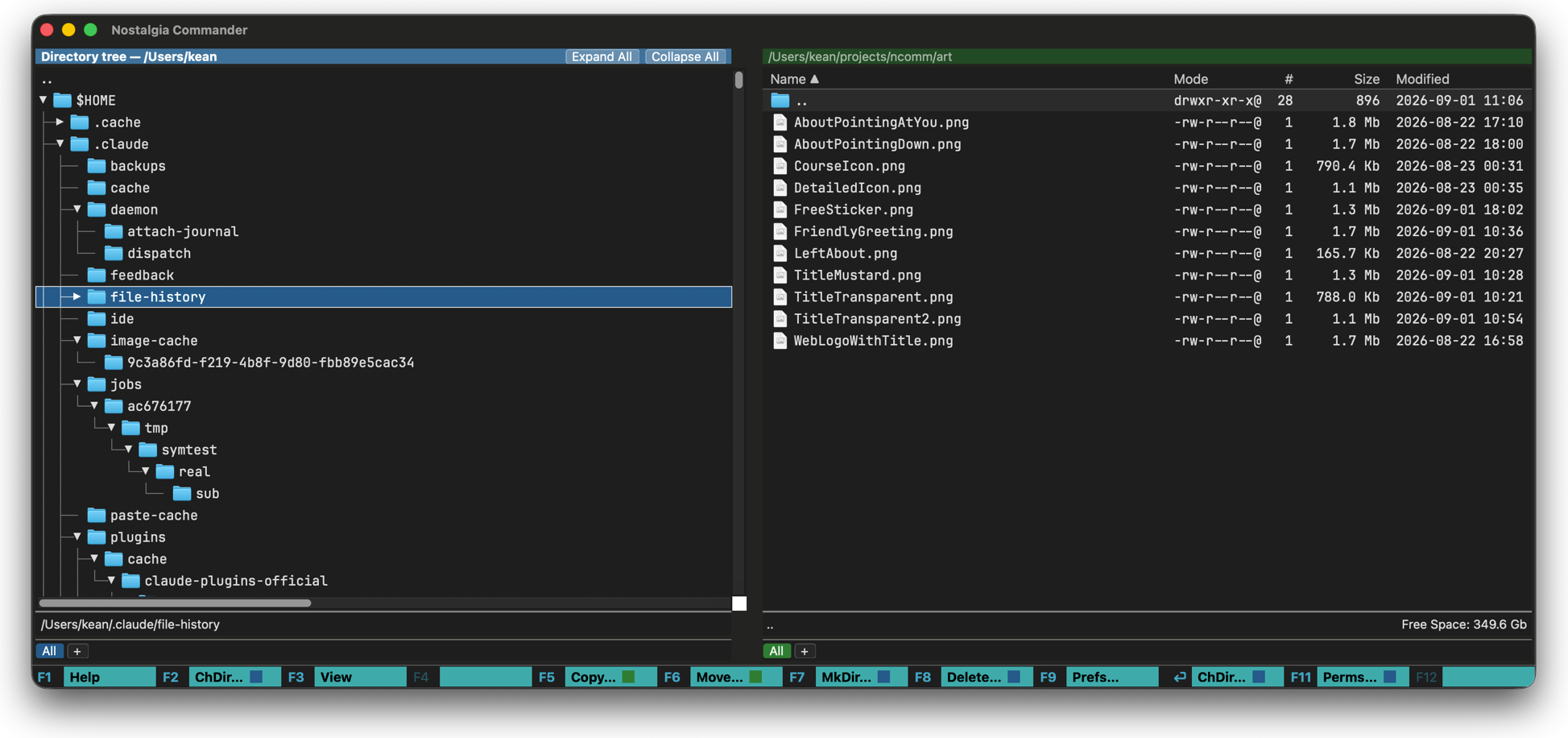 A directory tree beside a file listing